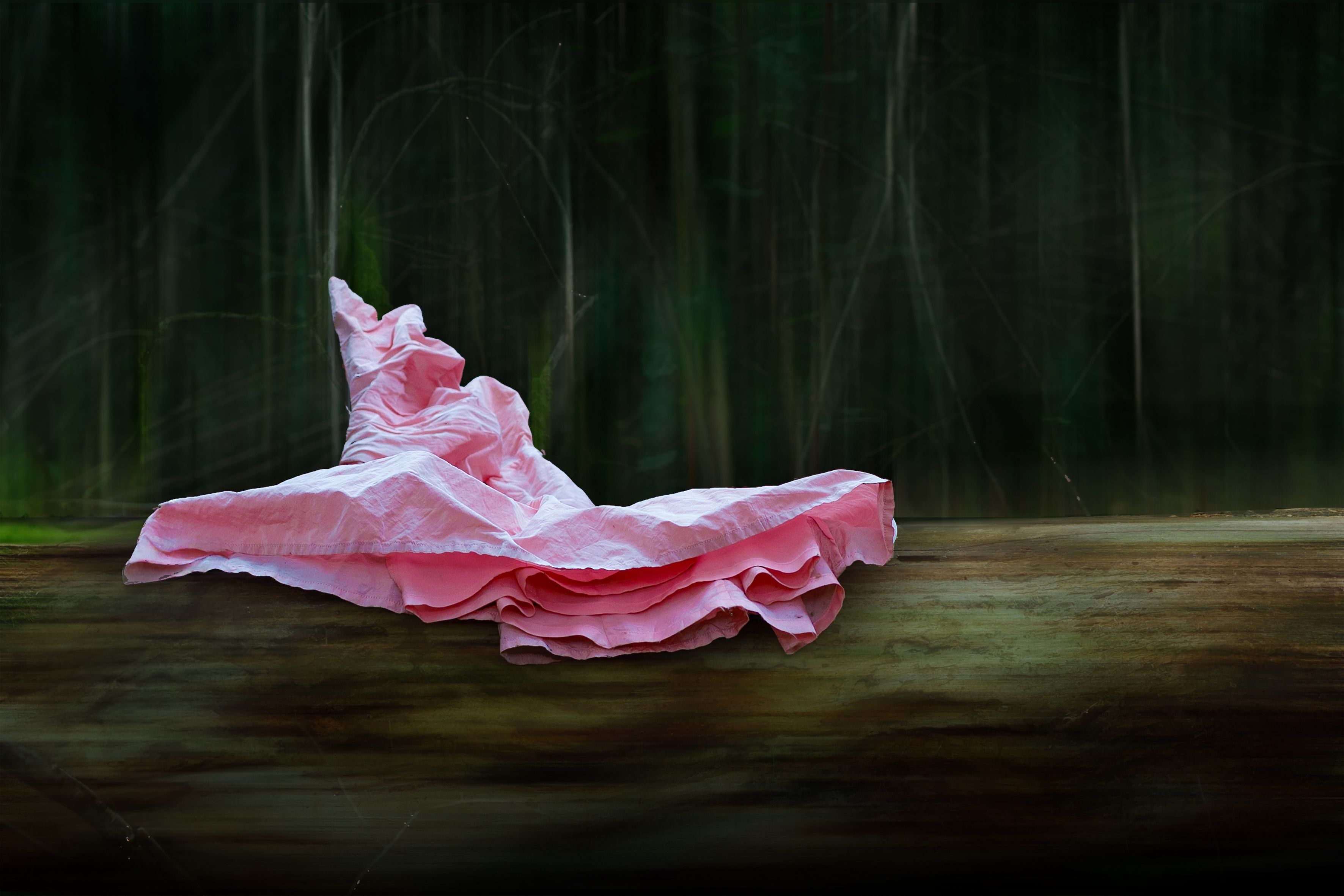 <i>Waldkleid2</i> © Ulli Wicke